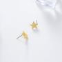 I tried Gold Star Stud Funny Meme Earrings Tarnish Resistant Earrings Funny Enamel Pin Star Enamel Pin