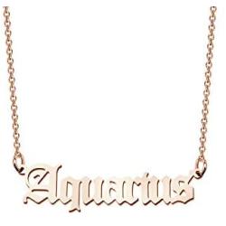 FAADBUK Zodiac Jewelry Zodiac Signs Necklace Constellation Birthday Gift for Her Girl Women