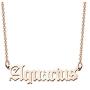 FAADBUK Zodiac Jewelry Zodiac Signs Necklace Constellation Birthday Gift for Her Girl Women