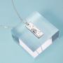 ROMANTICWORK 925 Sterling Silver Dandelion Necklaces for Women Make a Wish Necklace Dandelion Rectangle Festoon Necklace Dandelion Inspirational Jewelry for Women
