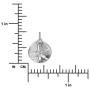 Sterling Silver Sand Dollar Charm Pendant Necklace, 18''