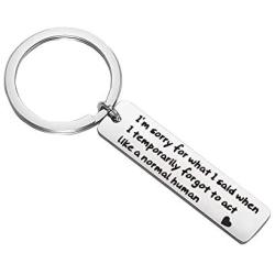 SEIRAA Apology Gift Sorry Jewelry Im Sorry Keychain Girlfriend Gift Sorry Gift for Her (Sorry Keychain)