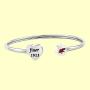 BAUNA DST Bangle Finer 1913 Delta Sigma Theta Sorority Bracelet Lucky Elephant Sisterhood Gift