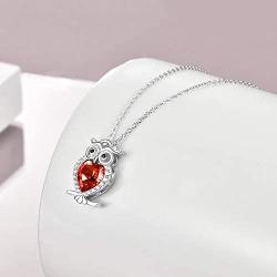WINNICACA Birthstone Necklace s925 Sterling Silver Owl Pendant Necklace Jewelry Gifts Women Girls Birthday Christmas Owl Lovers