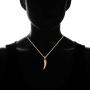 Boys & Mens Gold Chain Shark Tooth Necklace | Barzel 18K Gold Plated Flat Mariner / Marina Chain Necklace 3MM With Shark Tooth Pendant For Mens, Boys, Ladies & Girls - Made In Brazil