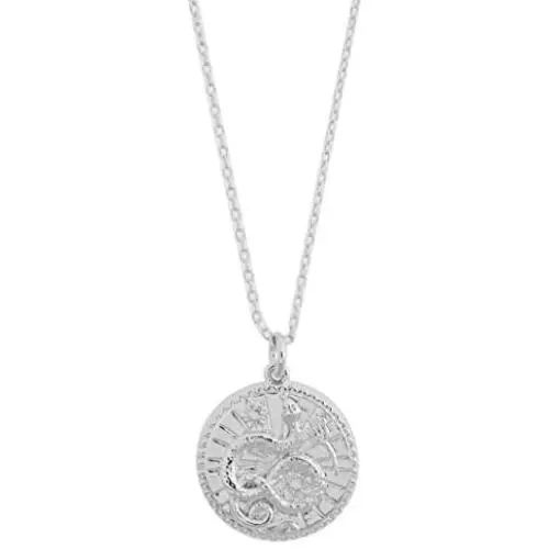 HONEYCAT Chinese Zodiac Coin Necklace in Silver | Minimalist, Delicate Jewelry