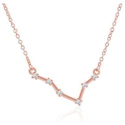 NEIQII Zodiac Constellation Necklace, Cute Necklaces, Rose Gold Necklaces for Women, Gift for Women Necklace Jewelry, 18 Inch