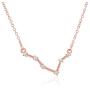 NEIQII Zodiac Constellation Necklace, Cute Necklaces, Rose Gold Necklaces for Women, Gift for Women Necklace Jewelry, 18 Inch