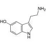 Rosa Vila Happiness Serotonin Molecule Necklace For Women, Happy Serotonin Necklace, Science Jewelry For Women, Ideal Necklaces For Teacher, Professor, Chemistry Grad, And Science Lovers Rosa Vila Happiness Serotonin Molecule Necklace For Women, Happy Serotonin Necklace, Science Jewelry For Women, Ideal Necklaces For Teacher, Professor, Chemistry Grad, And Science Lovers