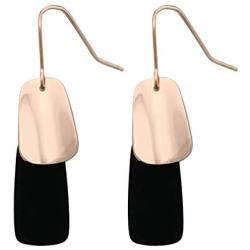 HAISWET Art Deco Stainless Steel Fish Hook Dangle Earrings for Women