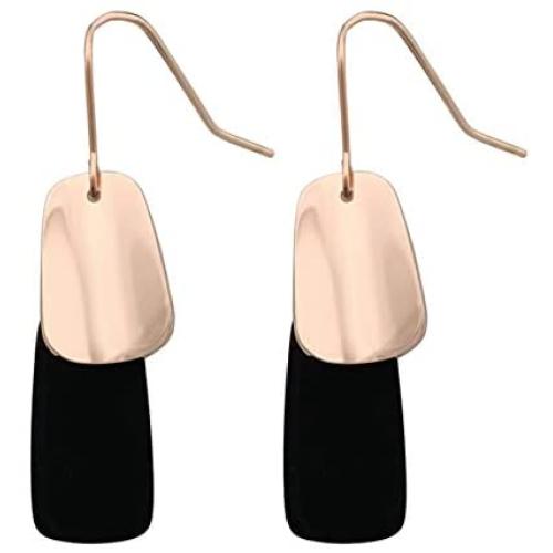 HAISWET Art Deco Stainless Steel Fish Hook Dangle Earrings for Women
