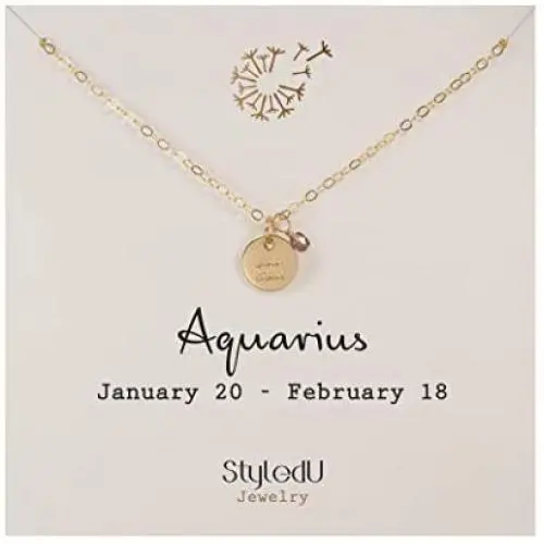 StyledU Dainty Zodiac Necklace 14k Gold Filled Astrology Mini Disc with Birthstone Necklace Constellation Horoscope Necklace Birthday Gifts for Teen Girls and Women, 16” Chain