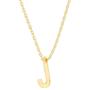 PAVOI 14K Gold Plated Initial Necklace | Letter Necklaces for Women