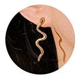 Snake Earrings for Women Gold Snake Earrings Silver Snake Drop Dangle Earrings Snake Stud Earrings Snake Hoop Earrings Serpent Snake Jewelry