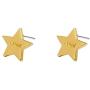 I tried Gold Star Stud Funny Meme Earrings Tarnish Resistant Earrings Funny Enamel Pin Star Enamel Pin