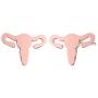Tiny Uterus Earrings Simple Stainless Steel Ear Studs Anatomic Stud Earrings for Women