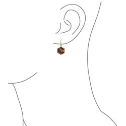 Hexagon Shaped Brown Tortoise Shell Dangle Drop Earrings For Women 14K Gold Plated Stainless Steel