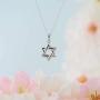 Plated 925 Sterling Silver Star of David Pendant Necklace With 18'' Cable Chain
