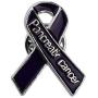 CENWA Pancreatic Awareness Gift Pancreatic Purple Ribbon Pin Pancreatic Enamel Cancer Support Jewelry