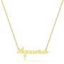 Daetlmn Zodiac Sign Necklaces Zodiac Horoscope Necklace Leo Cancer Necklace Zodiac Letter Necklace Constellation Birth Mouth Gift Zodiac Jewelry Gift for Her Gold/Silver