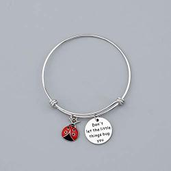 WUSUANED Good Luck Ladybug Keychain When She Swoops In It Remind Us Not Be Let Worries Cloud A Single Day Ladybug Lover Gift