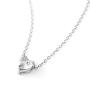 Zoestar Crystal Necklaces Heart Pendant Necklace Love Jewelry for Women (Silver)