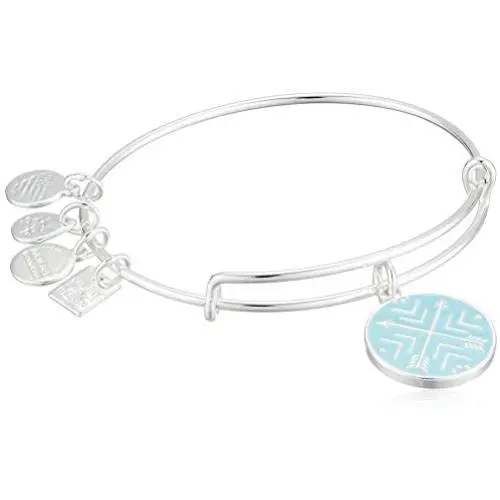 Alex and Ani Arrows of Friendship Charm Bangle Alex and Ani Arrows of Friendship Charm Bangle