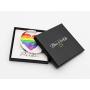 Tstars Gay Pride Bracelet Rainbow Flag Stainless Steel Bangle LGBT Jewelry