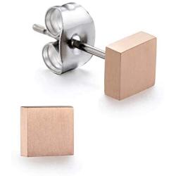 TGNEL Hypoallergenic Titanium EARRING