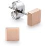 TGNEL Hypoallergenic Titanium EARRING