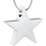zeqingjw Cremation Jewelry for Ashes Star Ashes Neckalce Memorial Urn Pendant for Human Pet Keepsake Jewelry for Women Men