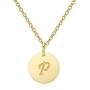 Letter Necklace for Women Teen Girls, P Initial Necklaces 14K Gold Plated, Stainless Steel Personalized Pendant Birthday Christmas Gift for Girls Children