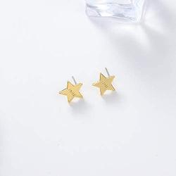 I tried Gold Star Stud Funny Meme Earrings Tarnish Resistant Earrings Funny Enamel Pin Star Enamel Pin