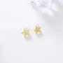 I tried Gold Star Stud Funny Meme Earrings Tarnish Resistant Earrings Funny Enamel Pin Star Enamel Pin