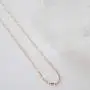 HONEYCAT Lexi Chain Choker-Necklace in Gold, Rose Gold, or Silver | Minimalist, Delicate Jewelry HONEYCAT Lexi Chain Choker-Necklace in Gold, Rose Gold, or Silver | Minimalist, Delicate Jewelry