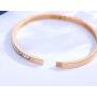 Stainless Steel Jewelry Bangle Bracelet Rose Gold Plated Diamonds Love High Polished Bracelet for Women Girls