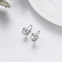 Owl Earrings Hoop Lucky Sterling Silver Animal Lover Jewelry Set Valentine‘s Day Birthday Gifts for Women Girlfriend Best Friend