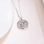 AOBOCO Inspirational Sterling Silver Compass Necklace with Swarovski Birthstone Crystal for Men & Women, Go in the Direction of Your Dreams, Christmas Birthday Jewelry Gift