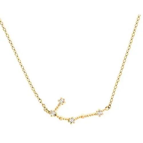 PAVOI 14K Gold Plated Astrology Constellation Horoscope Zodiac Necklace 16-18''