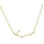 PAVOI 14K Gold Plated Astrology Constellation Horoscope Zodiac Necklace 16-18''