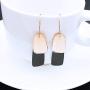HAISWET Art Deco Stainless Steel Fish Hook Dangle Earrings for Women