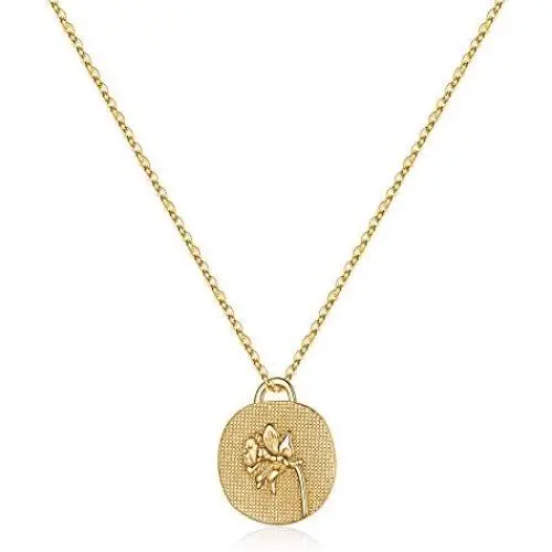 Birth Month Flower Gold Necklaces for Women, 14K Gold Plated Embossed Flower Necklace Engraved Birth Flower Coin Necklace Women Flower Gifts Gold Pendant Neckalce Meaningful Gift Everyday Jewelry Birth Month Flower Gold Necklaces for Women, 14K Gold Plated Embossed Flower Necklace Engraved Birth Flower Coin Necklace Women Flower Gifts Gold Pendant Neckalce Meaningful Gift Everyday Jewelry