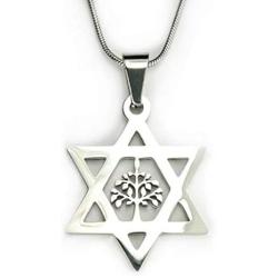 Star of David and Tree of Life Necklace, 18'' chain, Pure 304 Stainless Non Tarnishing, Shield of David, Magen David with Etz Chaim