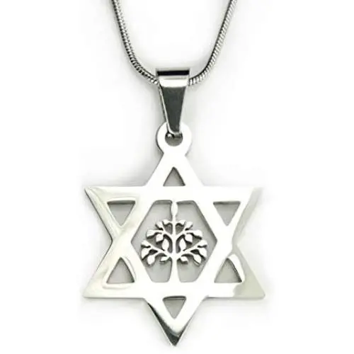 Star of David and Tree of Life Necklace, 18'' chain, Pure 304 Stainless Non Tarnishing, Shield of David, Magen David with Etz Chaim Star of David and Tree of Life Necklace, 18'' chain, Pure 304 Stainless Non Tarnishing, Shield of David, Magen David with Etz Chaim