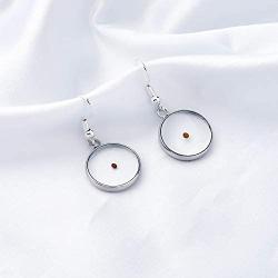 Mustard Seed Earrings Real Mustard Seed Faith Gifts Mustard Seed Jewelry for Women Christian Gifts Religious Inspirational Gifts
