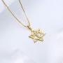 Aurora Tears 925 Sterling Silver David Star Necklace Magen Star of David Isreal Jewish Pendant Men Women Fashion Jewelry