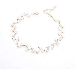 chenwei Pearl Necklace Golden Chain Female Tie Simple Short Necklace Female Neck Jewelry Collar Neck Strap Bridal Clavicle Jewelry Artificial Pearl Necklace Ladies Party