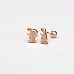 Dinosaur Earrings Screw on ball 20G piercing earrings Surgical steel Stud Earring/dino earrings…