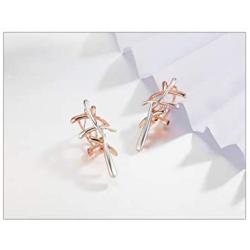 Viennois Necklace and Earrings Jewelry Set Gifts fit with Wedding, Prom, Bridesmaids or Mother (Rose Gold Earrings)