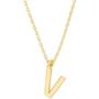 PAVOI 14K Gold Plated Initial Necklace | Letter Necklaces for Women